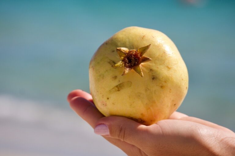 The Science of Food Processing: Balancing Preservation and Nutrition