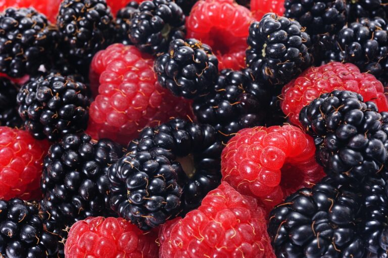 Food and Public Health: Addressing Nutritional Challenges in Communities