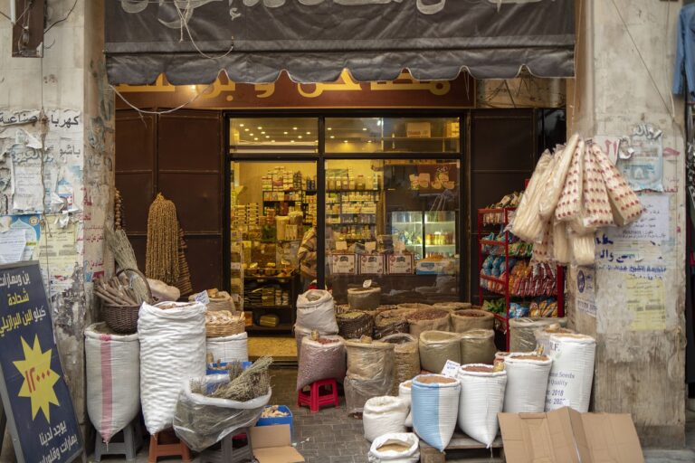 The Impact of Fast Fashion on Environmental Sustainability