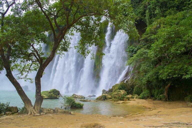 The Impact of Wellness Tourism on Local Communities: Economic Opportunities and Social Development