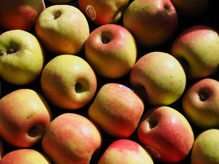 Organic Food and Its Role in Skin Health: Allpannel com, Play 99 exch, Gold id 365