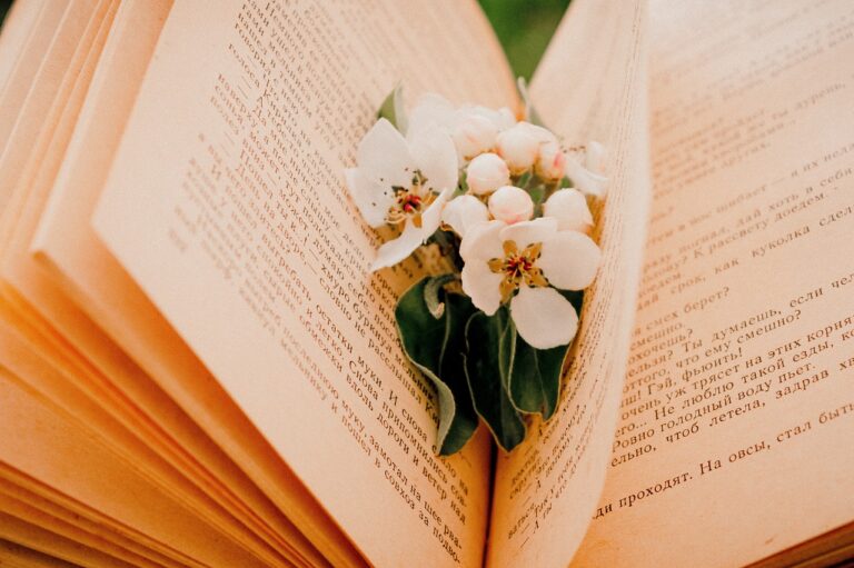 Fostering Resilience Through Literacy-Based Coping Strategies: Goldbet6, Tigerexch, Betbook247 app