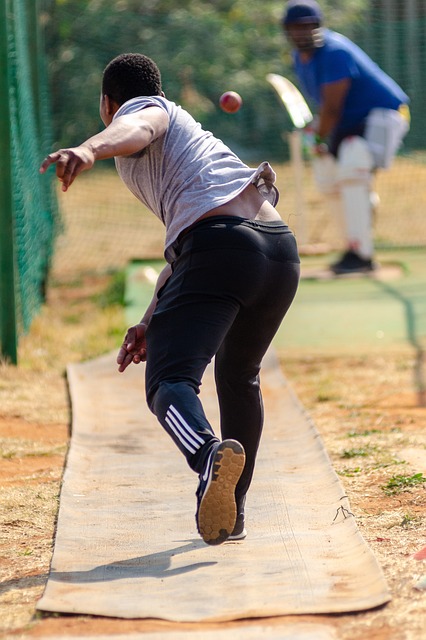 The Business of Cricket: Sponsorship Deals and Financial Dynamics