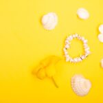 Reddybook Review: How This Innovative Platform Transforms Learning & Entertainment with 11xplay Integration